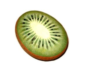 Galet-deco-peint-fruit-kiwi
