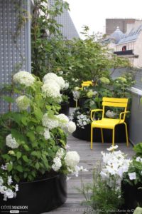Amenager-sa-terrasse-plantes-vertes-et-fleuries