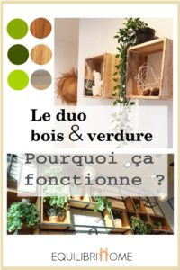 Deco-bois-et-verdure-duo-gagnant