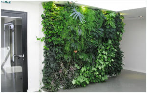 Deco-mur-vegetal