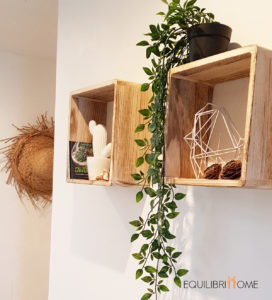 Deco-murale-cube-bois-plantes-etagere